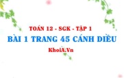 Bài 1 trang 45 Toán 12 tập 1 Cánh Diều